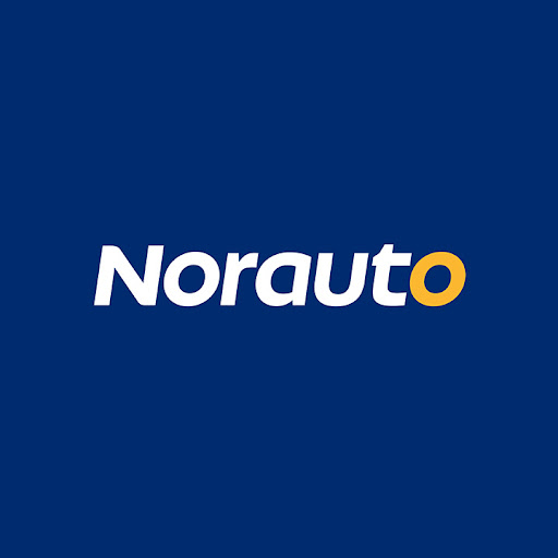 Norauto Nichelino logo