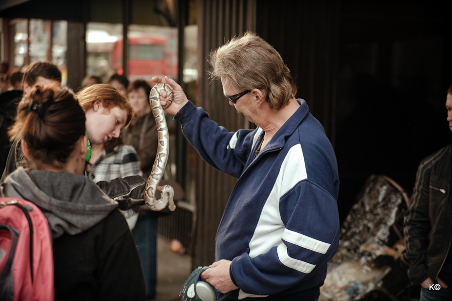 IMAGE: https://lh6.googleusercontent.com/-TI95eStlzgk/T2_KheDBeLI/AAAAAAAAaQE/9dudauqDCIM/s900/_MG_3631.JPG