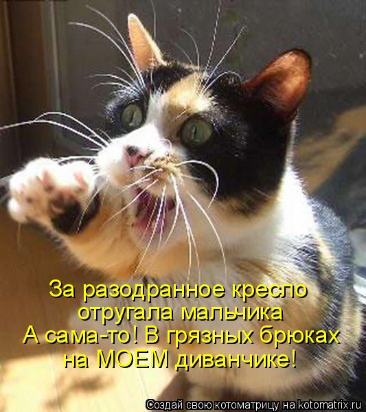 «Имеющий уши, да развесит...» часть 1. «Имеющий уши, да развесит...» часть 1.