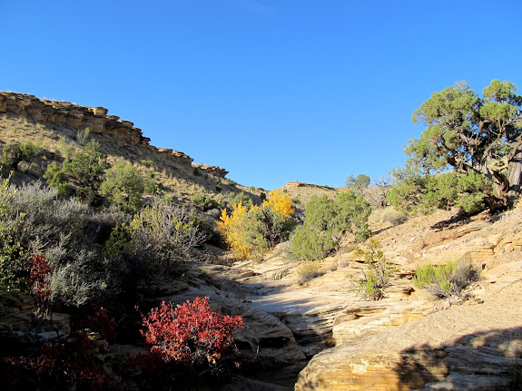 Side canyon that leads up the San Rafael Reef