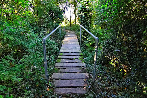 Cudmore Grove Country Park