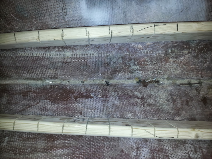20130928_192500.jpg