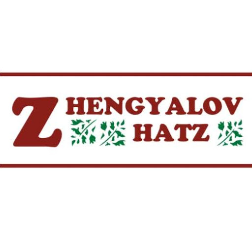 Zhengyalov Hatz logo