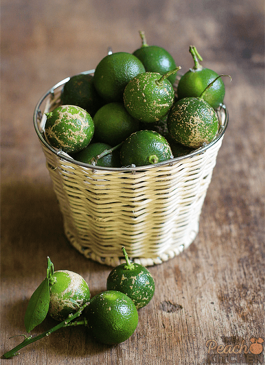 Calamansi Bars on Brown Butter Shortbread