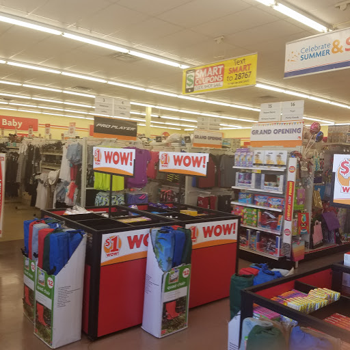 Dollar Store «FAMILY DOLLAR», reviews and photos, 24950 W Outer Dr, Lincoln Park, MI 48146, USA