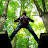 Vittorio Giovanelli avatar image