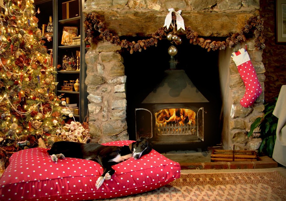 Christmas Dog Beds Perfect For The Festive Season by Hugo and Hennie Christmas Dog Beds Perfect For The Festive Season by Hugo and Hennie
