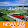 Nomads Capital backpackers hostel Nomads Capital backpackers hostel's profile photo