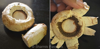 How to clean mushrooms Step2