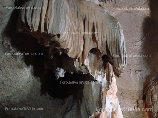 La cueva de las calaveras, Benidoleig, Alicante DSC05876