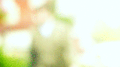 https://lh6.googleusercontent.com/-TT_NwTr1hGU/T1Z0f5sAqqI/AAAAAAAAFTU/KoGdkVINSw0/s245/tumblr_m0b3ho1Znw1rnvzt5o4_250.gif