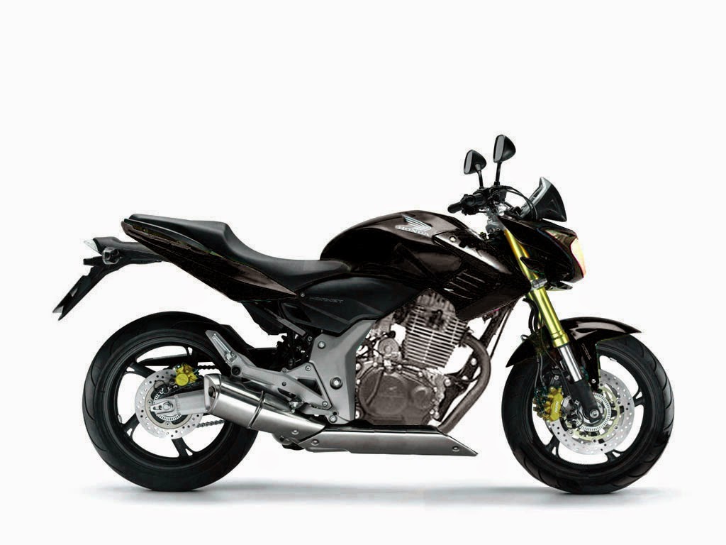 Biaya Modifikasi Honda Tiger Street Fighter Thecitycyclist