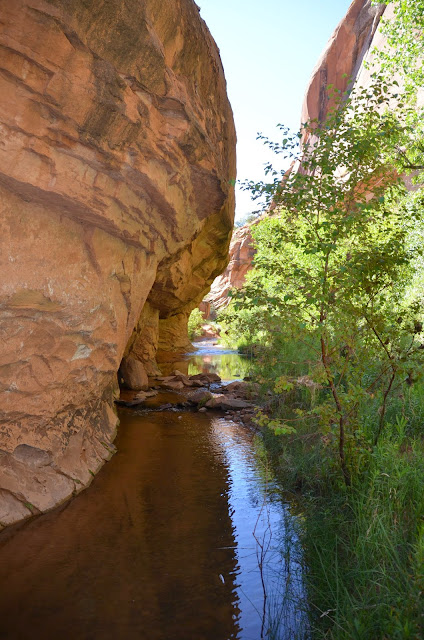 negro bill canyon