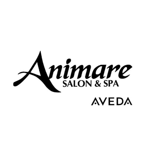 Animare Salon and Spa logo