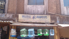 Valerius Aquariums