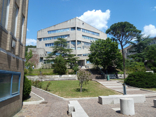 Università degli Studi di Trieste