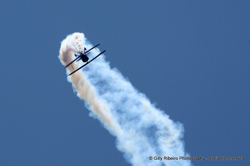 IMAGE: https://lh6.googleusercontent.com/-TfKfe_xpxFg/Ucm1IGMAObI/AAAAAAAAG18/uQ9cgs-1c2g/s800/IMG_7404.JPG