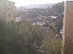 IMG_20130111_141822.jpg