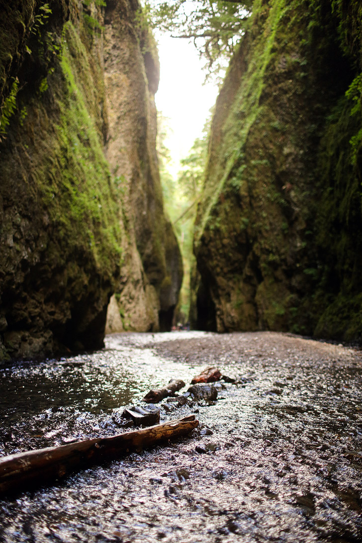 The Oneonta Gorge Hike | Waterfall Hikes in Oregon.