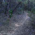 Narrow track (187197)
