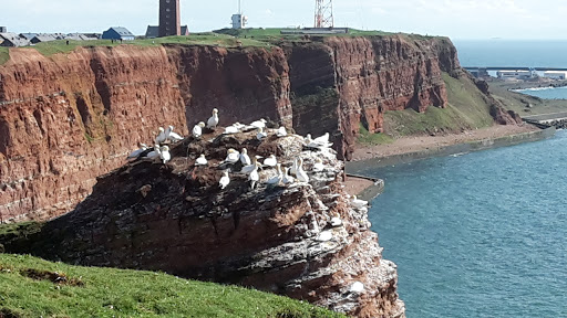 Helgoland