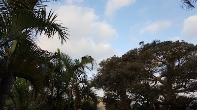 Photos of TEREMOK SPA