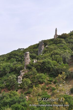 Canuto del Montero