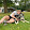 Ruby .M Ruby .M's profile photo