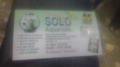 Solo Aquarium, # Near Kalamandir, Lakshmipuram cross Roads Koritipadu 2., Main Rd, Sitaram Nagar, Guntur, Andhra Pradesh 522001, India, Aquarium, state AP