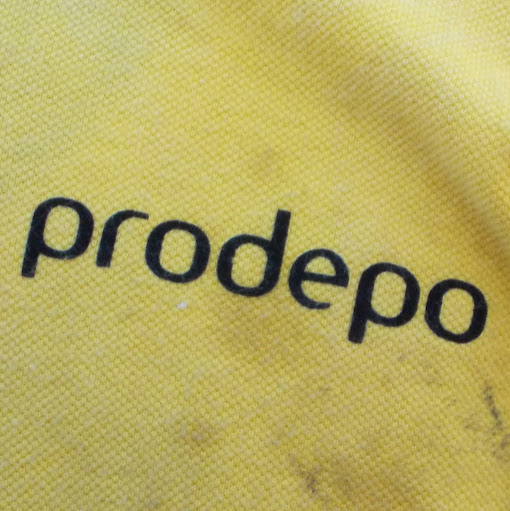 Prodepo Lojistik Ltd Şti logo