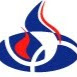 Fitness-centrum Flash Gym logo