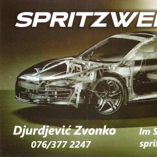 Spritzwerk und Garage Djurdjevic logo