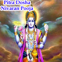 Pitra Dosha Shanti Pooja
