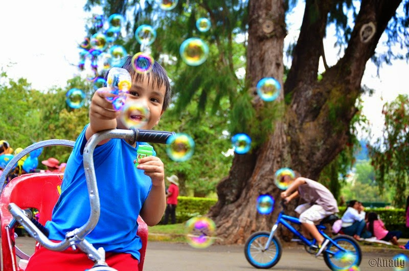Have a Lovely-Bubbly Day!