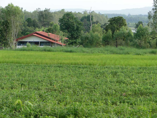 Property Thailand