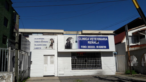 Clinica Veterinaria Reñaca, Avda Angamos 376, Viña del Mar, Valparaiso, Región de Valparaíso, Chile, Veterinaria | Valparaíso