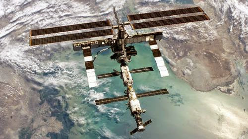 Life In Space Sea Plankton Discovered Attached To Iss Outer Hull