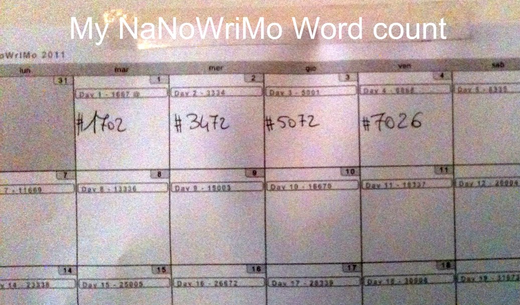 My NaNoWriMo2011 Calendar
