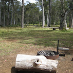 The are several fire pits in the campsite