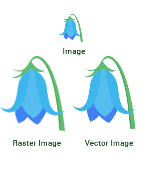 raster and vector image difference