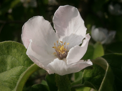 [Bild: P5010328.JPG]