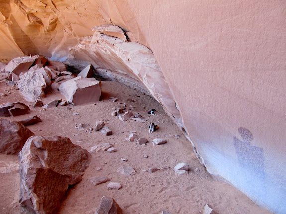Dogs resting in the alcove with large pictograph on the right