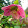 Ken Lombardi Ken Lombardi's profile photo