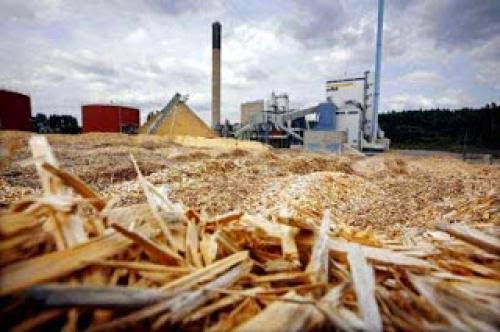Biofuelwatch Scottish Government Should Heed Warnings About Sustainability Of Big Biomass