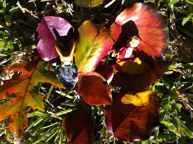 fall-leaves1.jpg