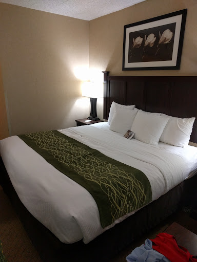 Comfort Inn & Suites