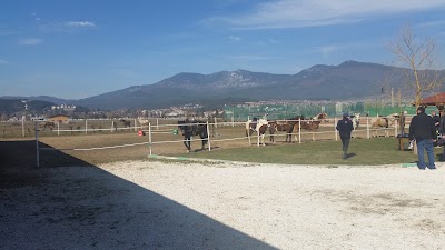 Photos of Konna Baza Sivek