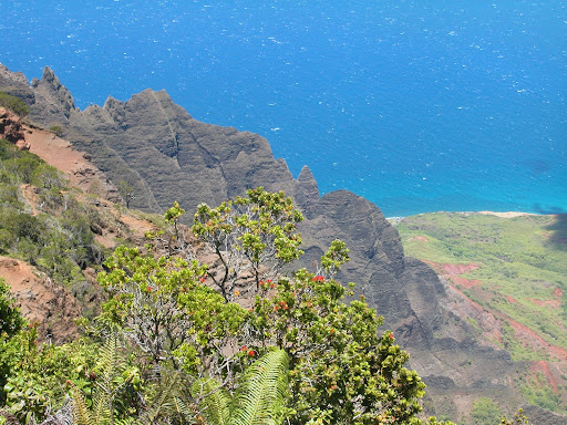 Kalalau Lookout