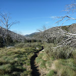 Thredbo River Valley near Dead Horse Gap (283943)