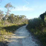 Wilkins Track near Terrey Hills (307496)